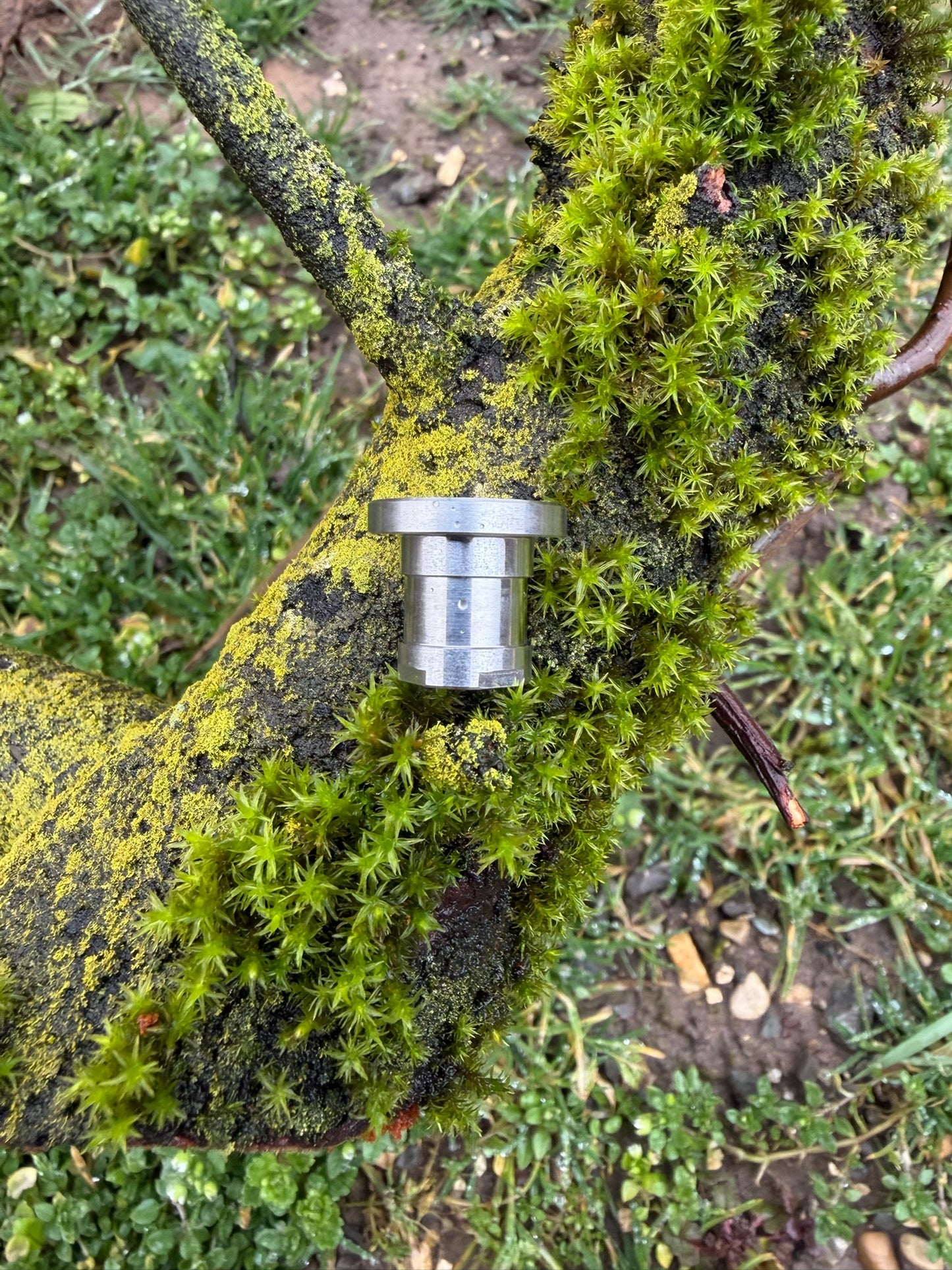 Edelstahl - V1 Quick-Change Adapter für Bissanzeiger / Rutenauflage (Vorbestellung)