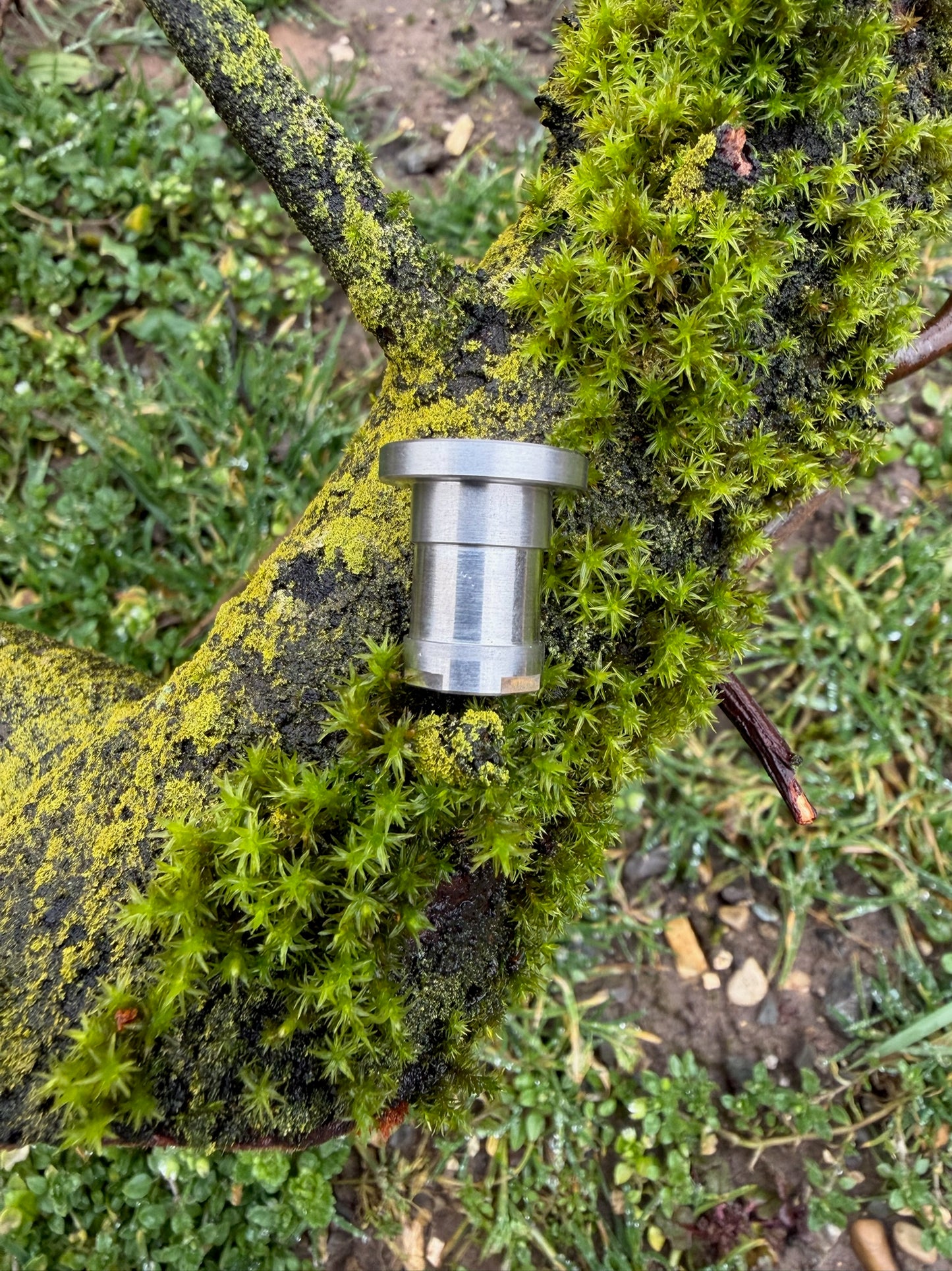 Edelstahl - V1 Quick-Change Adapter für Buzzer Bar (Vorbestellung)