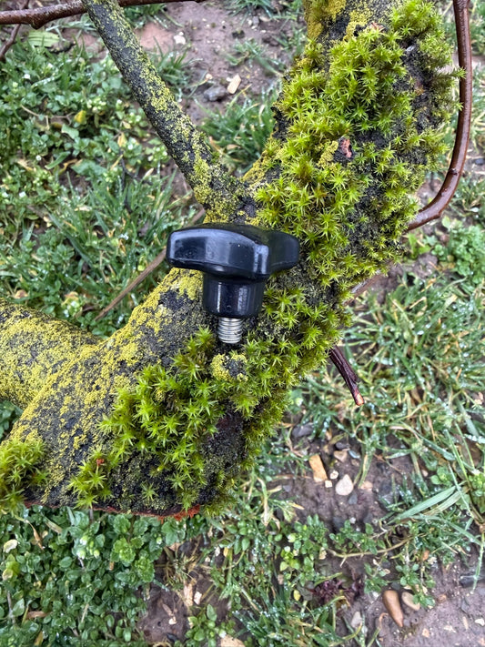 V1 Backup Screw Small M6